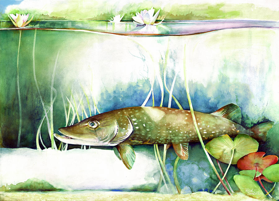 Dappled Pike Painting by Penny Taylor-Beardow