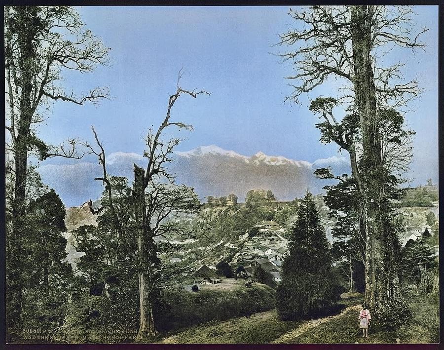 Darjeeling. Kinchinjunga And The Snow From Beechwood Park  19th Century Colorized By Ahmet Asar Painting