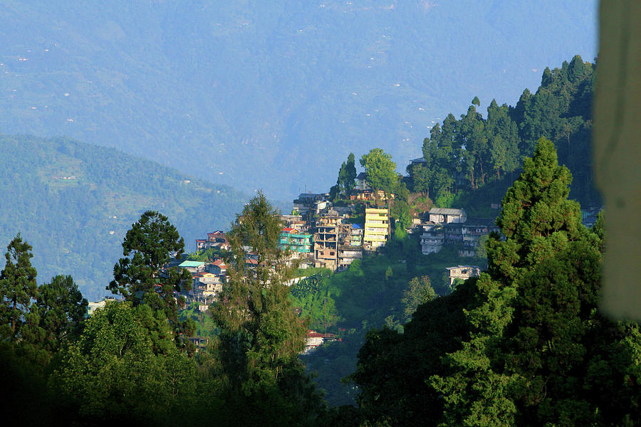 Darjeeling Photograph by Mohammad Mustafizur Rahman