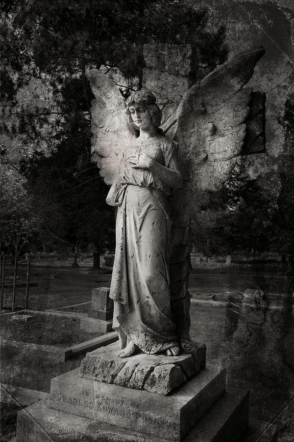 Dark Angel Photograph by Theresa Tahara