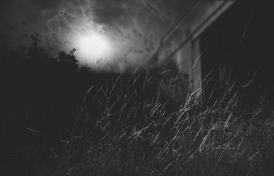 Dark Autumn Photograph by Cybele Moon