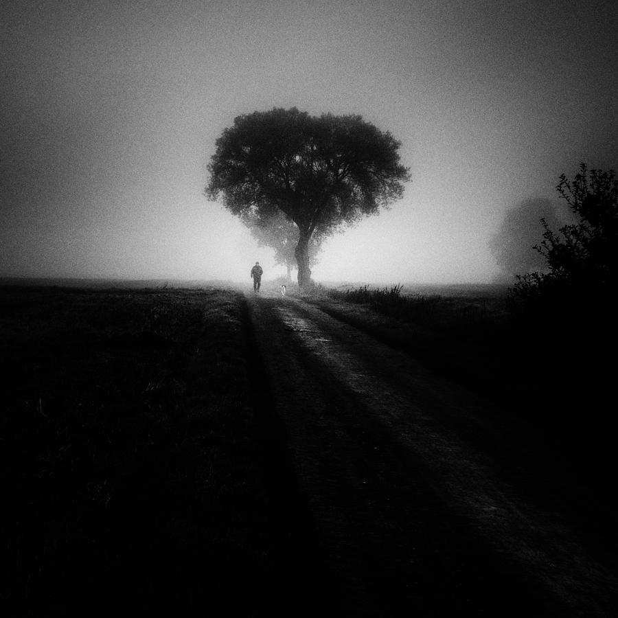Dark Autumn V Photograph by Viktor Bauer
