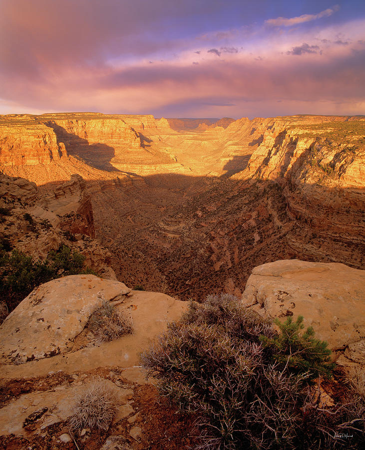 Dark Canyon Sunset Photograph by Leland D Howard