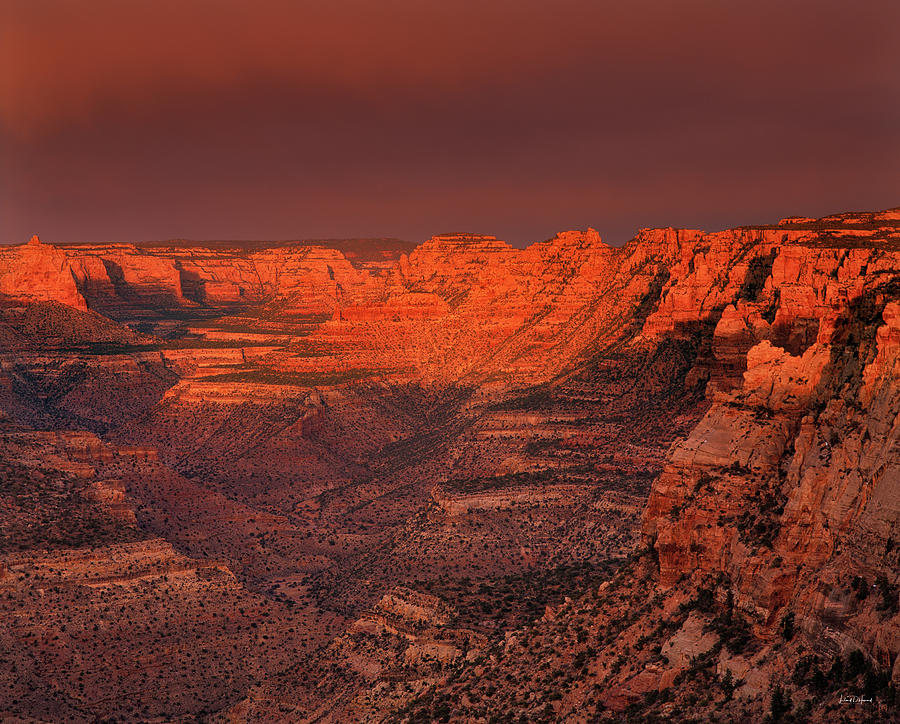 Dark Canyon Wilderness Photograph by Leland D Howard