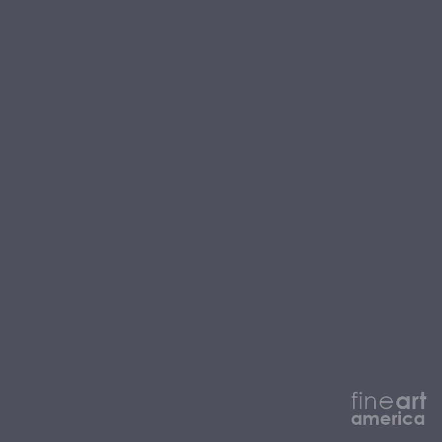 Dark Charcoal Gray by Delynn Addams for Home Decor Digital Art by Delynn Addams