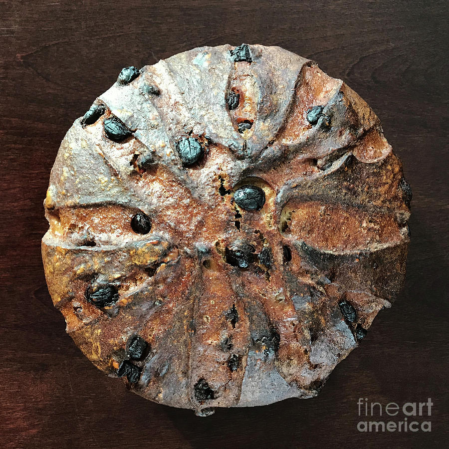 Dark Chocolate Chip, Walnut, Whole Grain Rye Sourdough 2 Photograph by Amy E Fraser