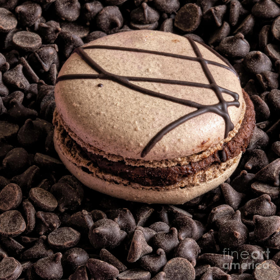 Cookie Photograph - Dark Chocolate Macaron by Elisabeth Lucas