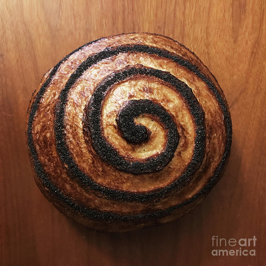 Dark Crusted Poppy Seed Sourdough Spiral 1 Photograph by Amy E Fraser