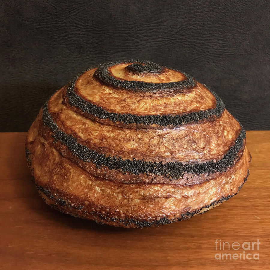 Dark Crusted Poppy Seed Sourdough Spiral 2 Photograph by Amy E Fraser