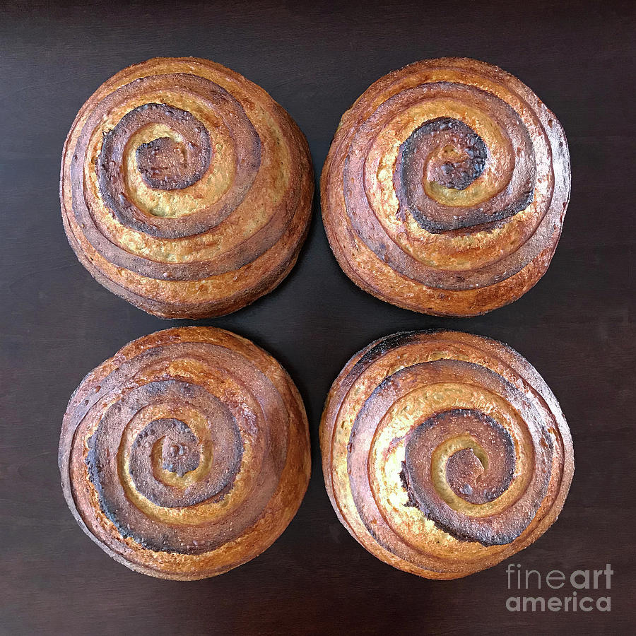 Dark Crusted Sourdough Spirals 1 Photograph by Amy E Fraser