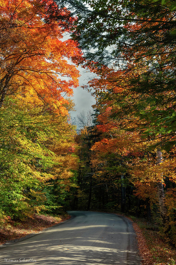 Dark Entry Road by T-S Photo Art Dark Entry Road by T-S Photo Art