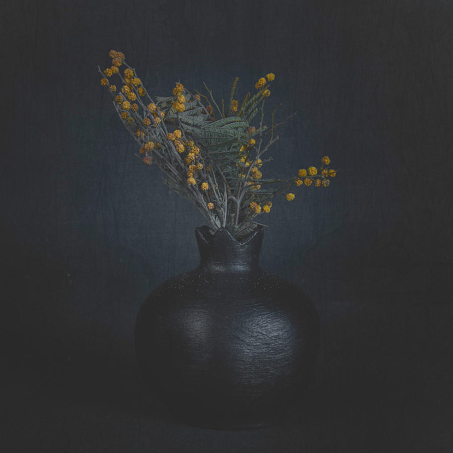 Flower Photograph - Dark by iek K?ral