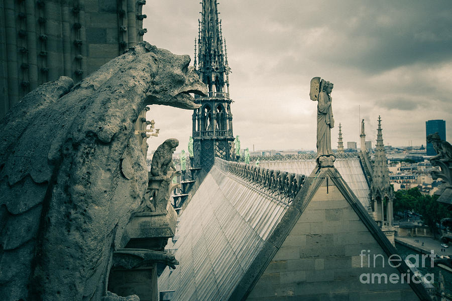 dark mythological gargoyle of Notre Dame Photograph by Benny Marty