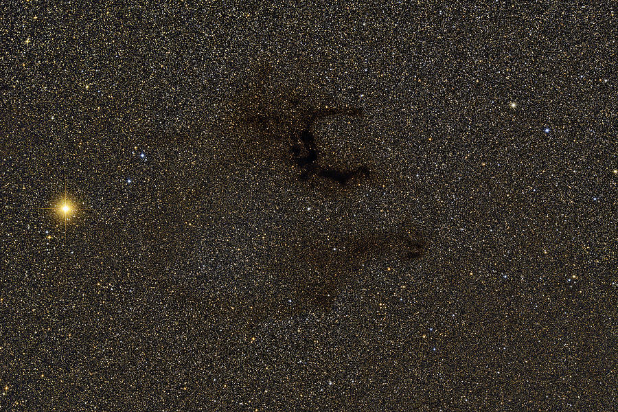 Dark Nebula B142, Barnards E Nebula Photograph by Reinhold Wittich