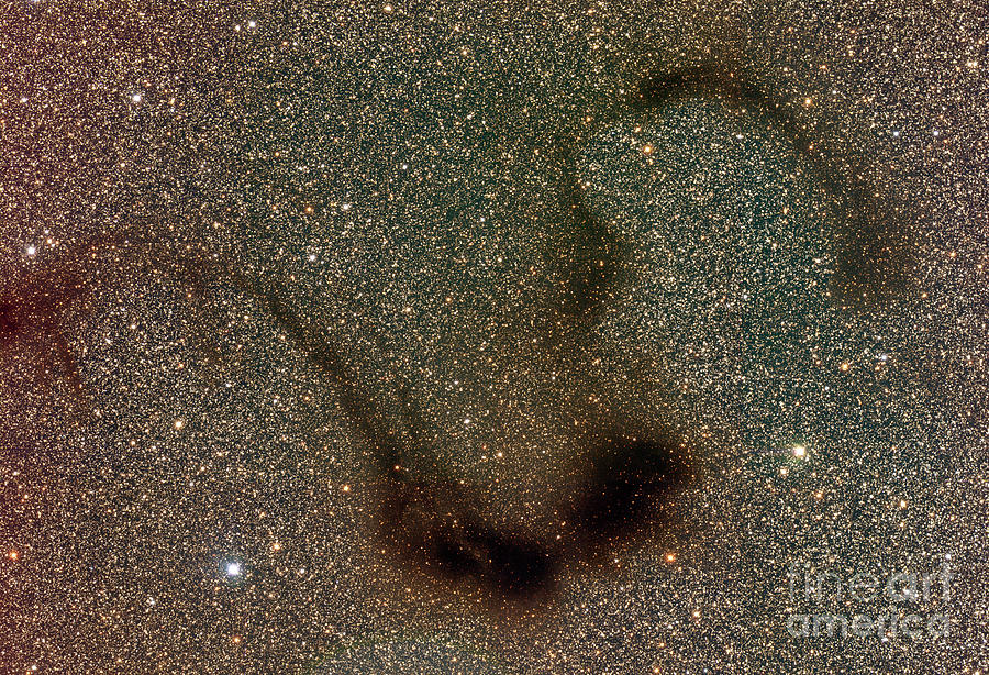 Dark Nebula B72 Photograph by J-c Cuillandre/canada-france-hawaii Telescope/science Photo Library