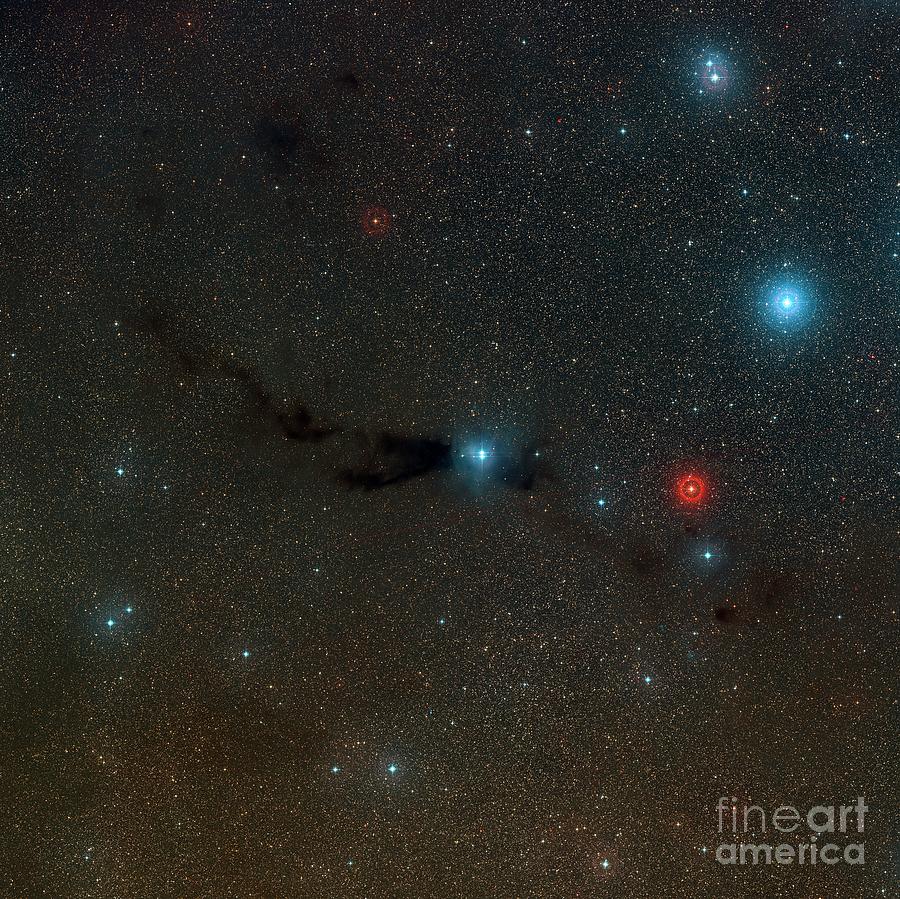 Dark Nebula Lupus 3 In Scorpius Photograph by Davide De Martin/science Photo Library