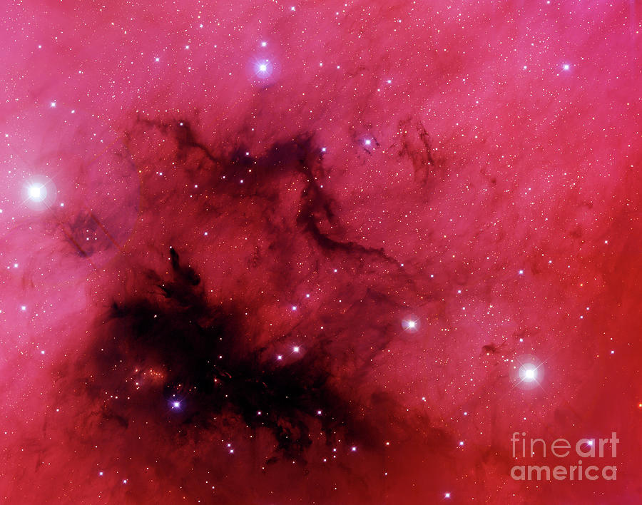 Dark Nebulae Photograph by Canada-france-hawaii Telescope/jeancharles Cuillandre/science Photo Library