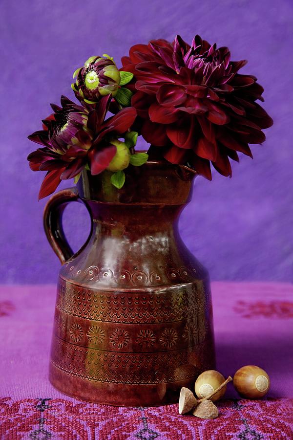 Dark Red Dahlias In Classic Ceramic Jug Against Purple Background; Acorns On Embroidered Linen Cloth Photograph by Anke Schtz
