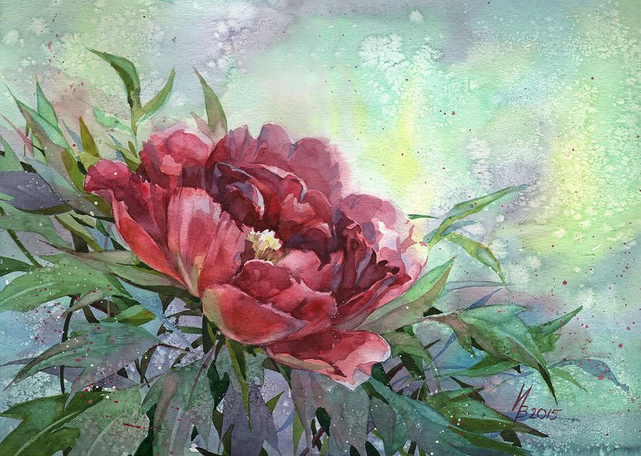 Dark Red Peony Flower Painting by Ina Petrashkevich