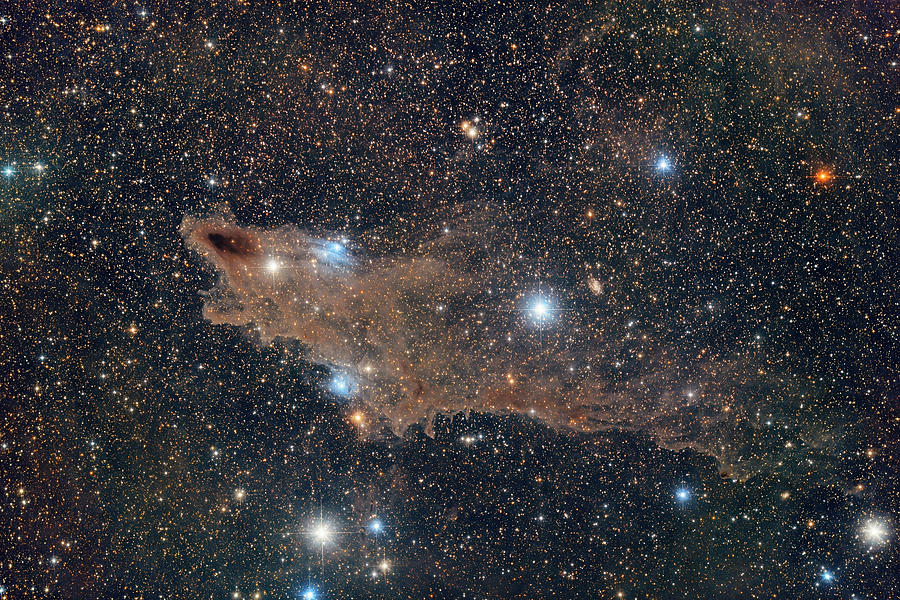 Dark Shark Nebula, Ldn 1235 Photograph by Reinhold Wittich