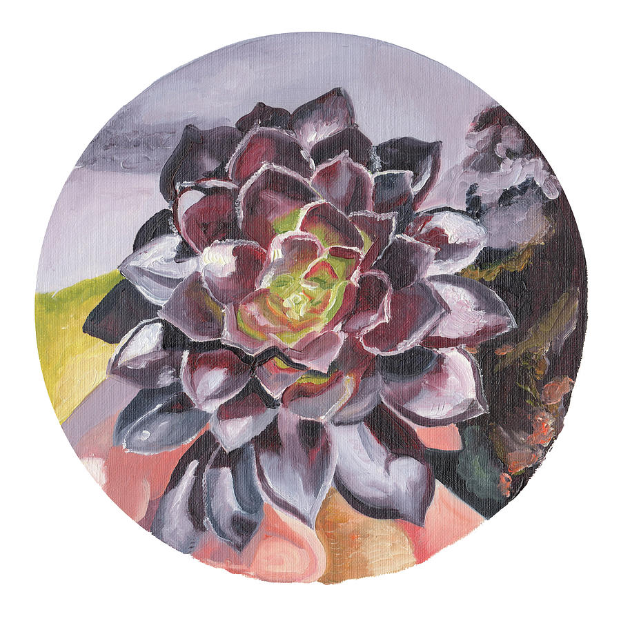 Aeonium in Oil by Brittany Bert Selfe Aeonium in Oil by Brittany Bert Selfe