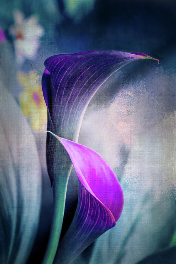 Dark Textured Lilies Digital Art by Terry Davis