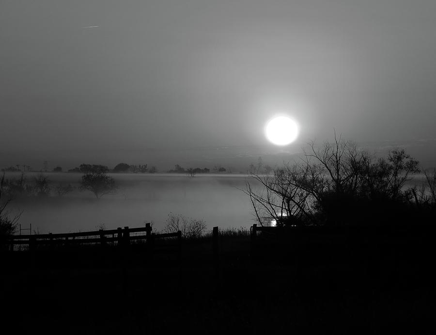 Dark Trials Photograph by David Norman - Fine Art America