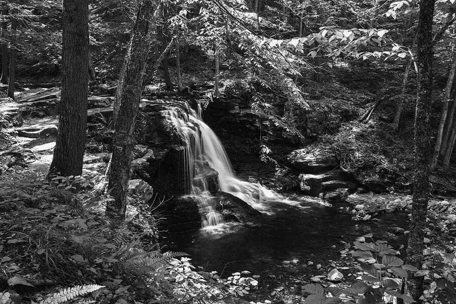 Dark Waterfall Photograph by Rose Guinther
