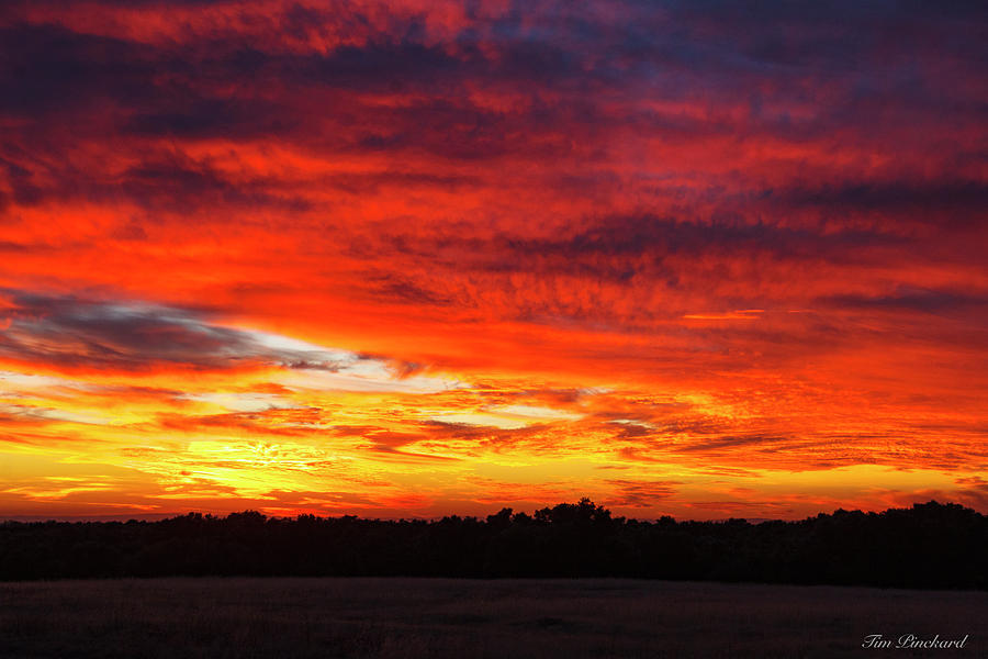 Darmatic sunset with dark treeline. Photograph by Timothy Pinckard