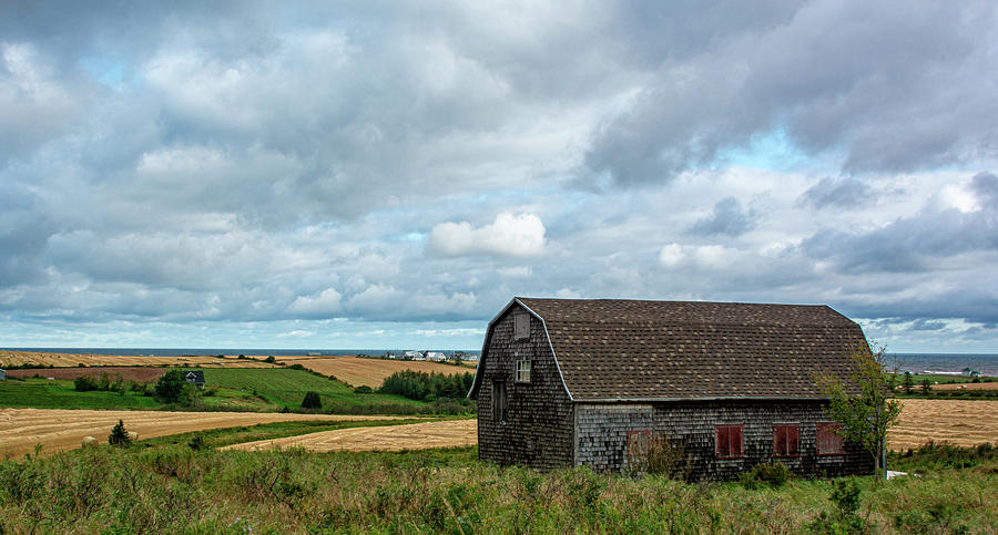 Darnley Ocean View Barn Photograph by Douglas Wielfaert