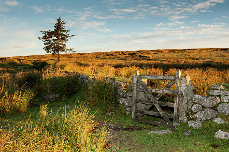National Parks Photograph - Dartmoor Gate at Sunrise iii by Helen Jackson