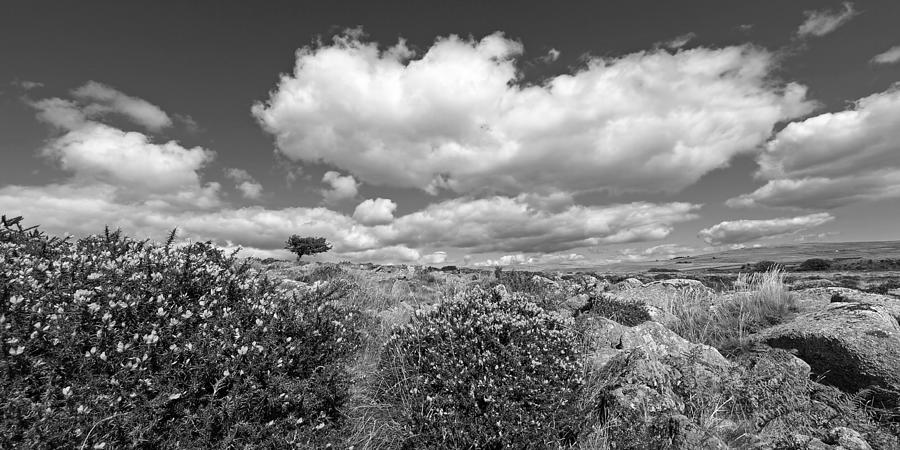 Dartmoor Panoramic in Black and White Photograph by Gill Billington