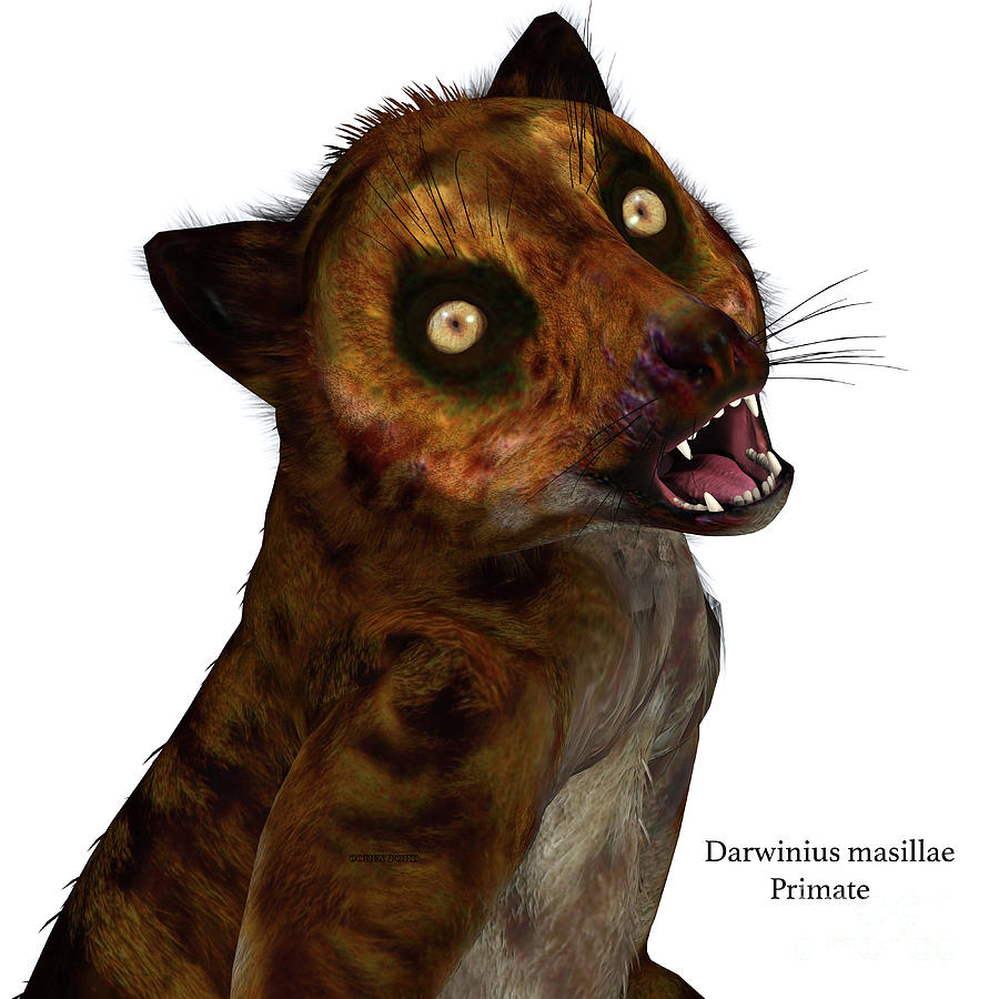 Darwinius Primate Head with Font Digital Art by Corey Ford
