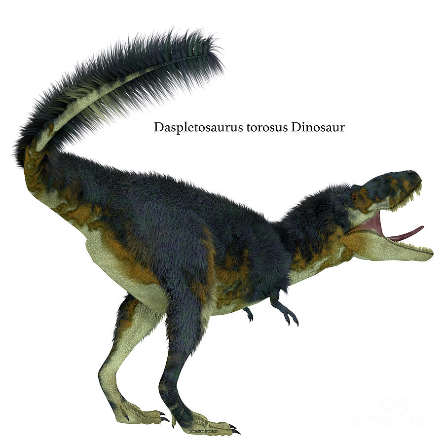 Daspletosaurus Dinosaur Tail with Font Digital Art by Corey Ford