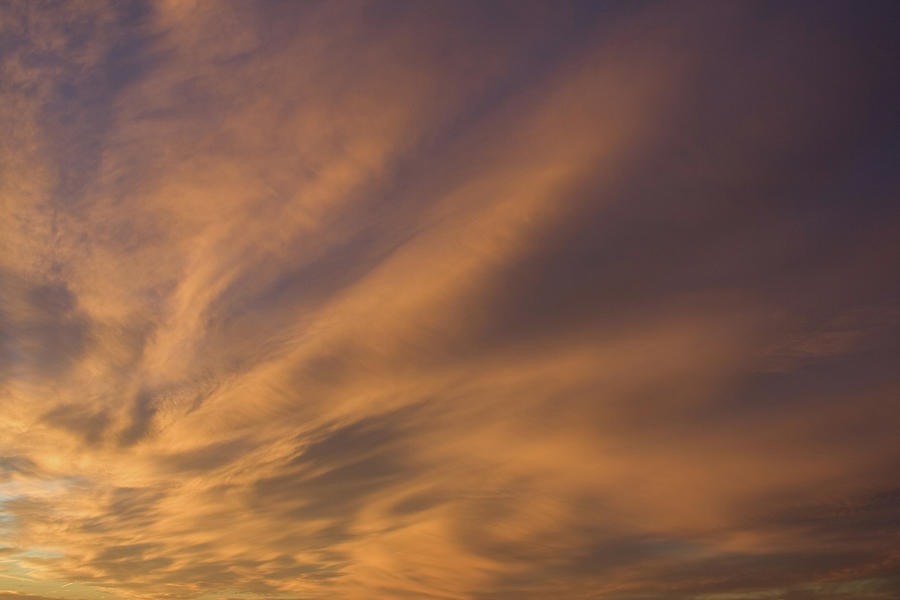 Dauphin Heavens II by Dylan Punke Dauphin Heavens II by Dylan Punke