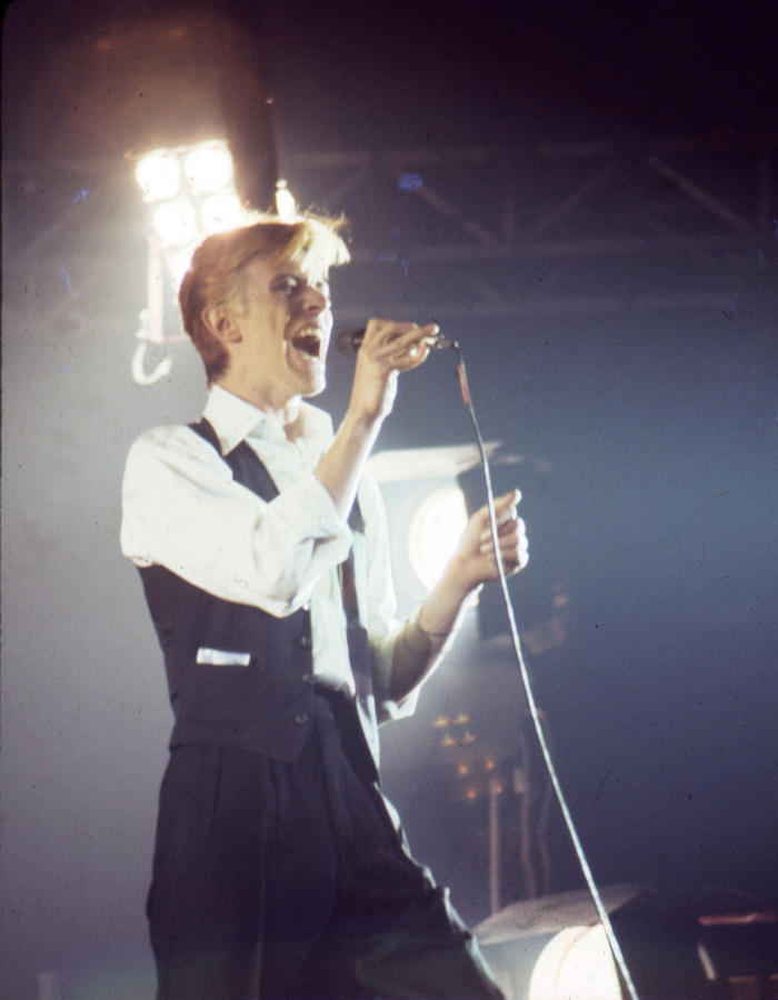 David Bowie Photograph - David Bowie  by Dan Cuny