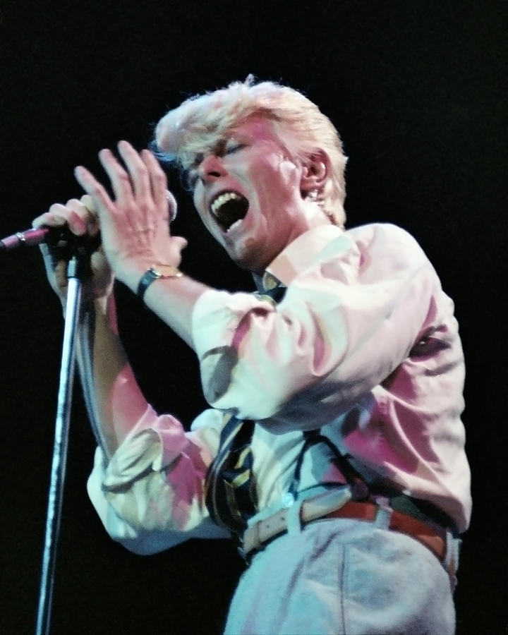 David Bowie Photograph - David Bowie Singing With Closed Eyes At Serious Moonlight Tour by Tony Defilippis