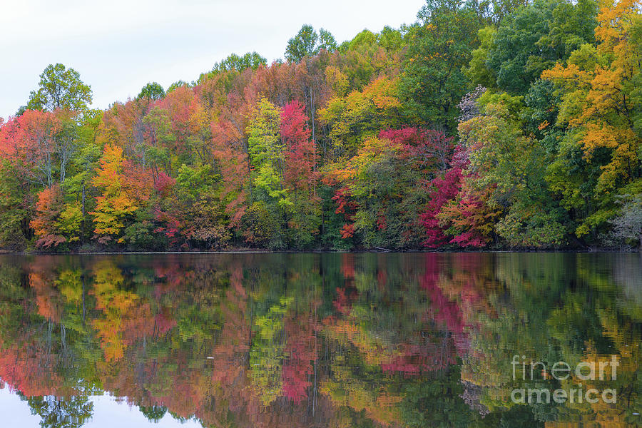 Davidsons Mill Pond in Autumn  Photograph by Michael Ver Sprill
