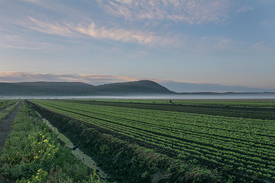 Dawn and Fog Over the Farmland Photograph by Angelo Marcialis