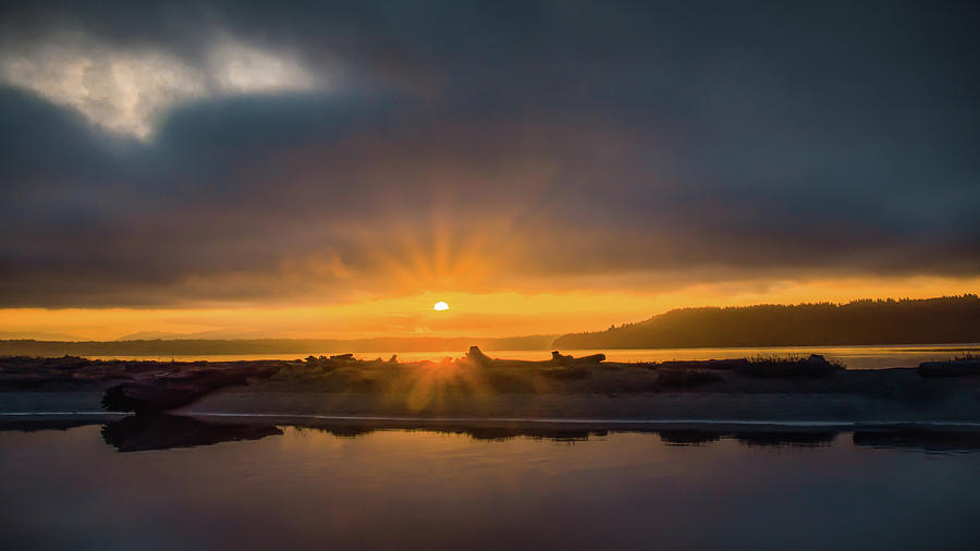 Dawn by Don Schwartz Dawn by Don Schwartz