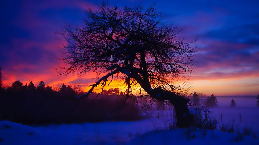 Dawn Dreaming 2 by Bryan Smith Dawn Dreaming 2 by Bryan Smith