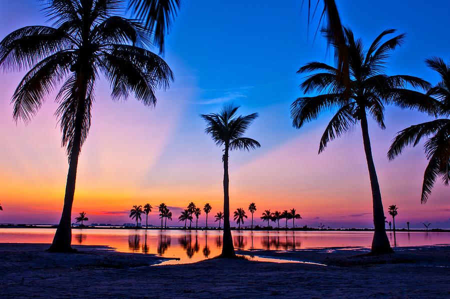 Dawn in Miami Photograph by Edgar Estrada