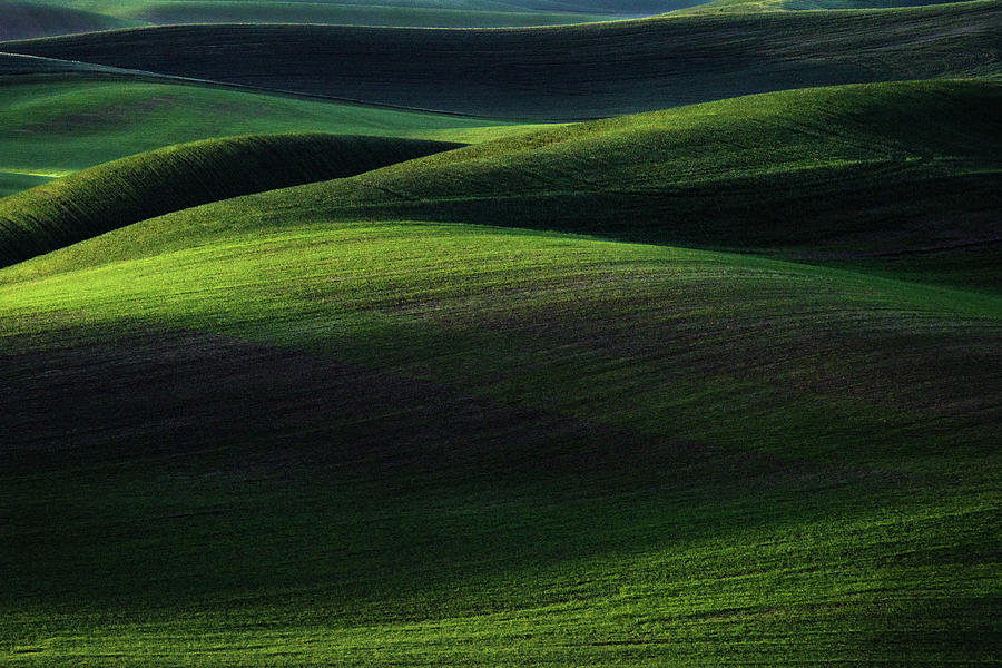 Dawn in the Palouse Photograph by Kristen Wilkinson