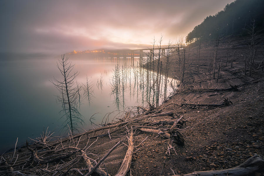 Dawn In The Reservoir Photograph by Manuel Bermdez