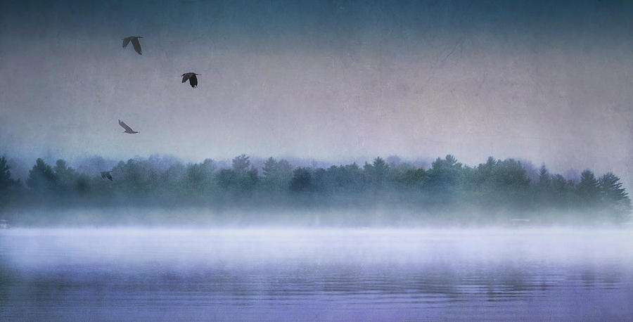 Dawn Of The Fog Photograph by Reynaldo Williams