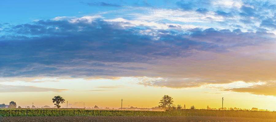 Nature Photograph - Dawn on cultivated fields by Vivida Photo PC