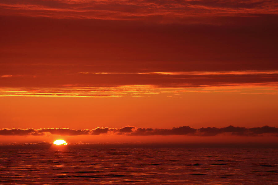 Dawn Over The North Sea, June Photograph by Philip Stephen / Naturepl.com Dawn Over The North Sea, June Photograph by Philip Stephen / Naturepl.com