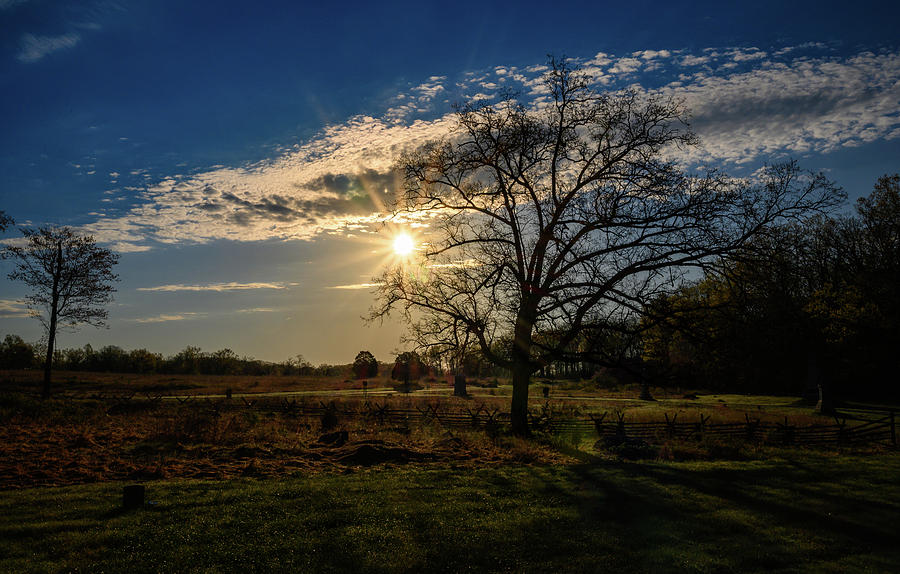 Dawn thru the tree by Dan Urban Dawn thru the tree by Dan Urban