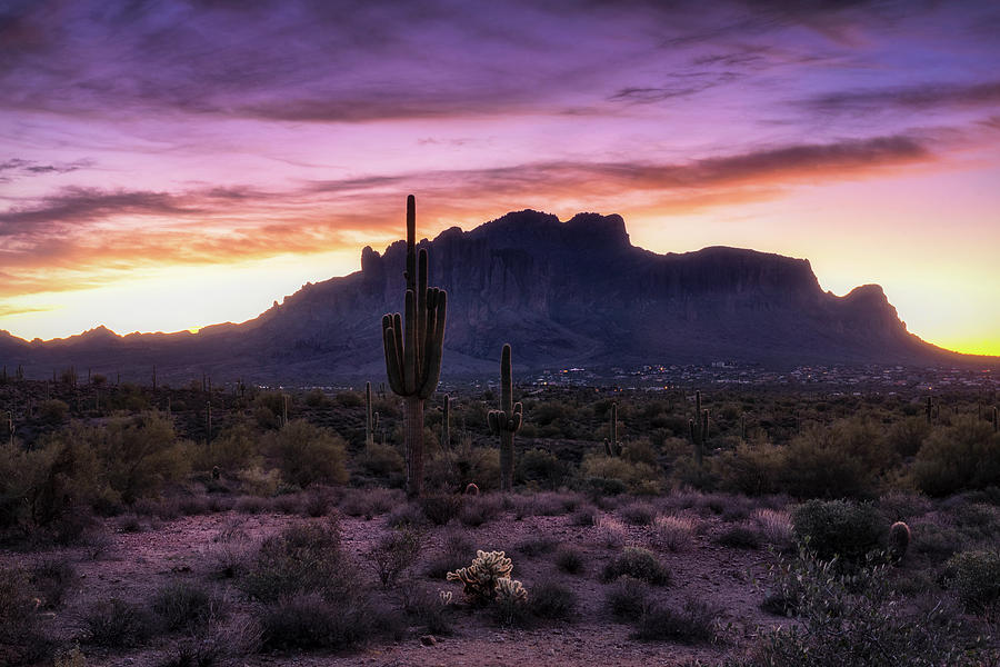 Dawns Desert Glory  Photograph by Saija Lehtonen