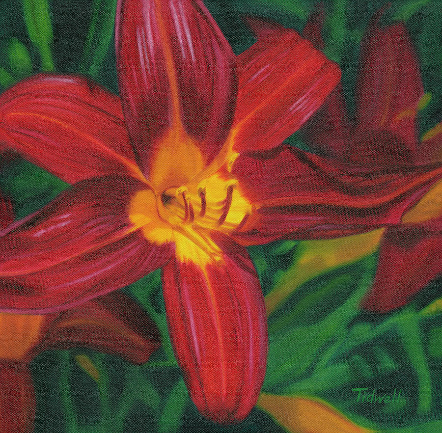 Day Lily Painting by Deborah Tidwell Artist